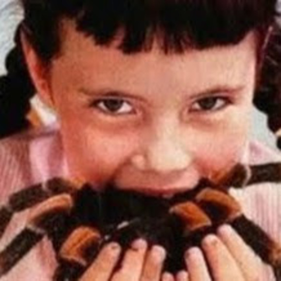 arachnidanina
